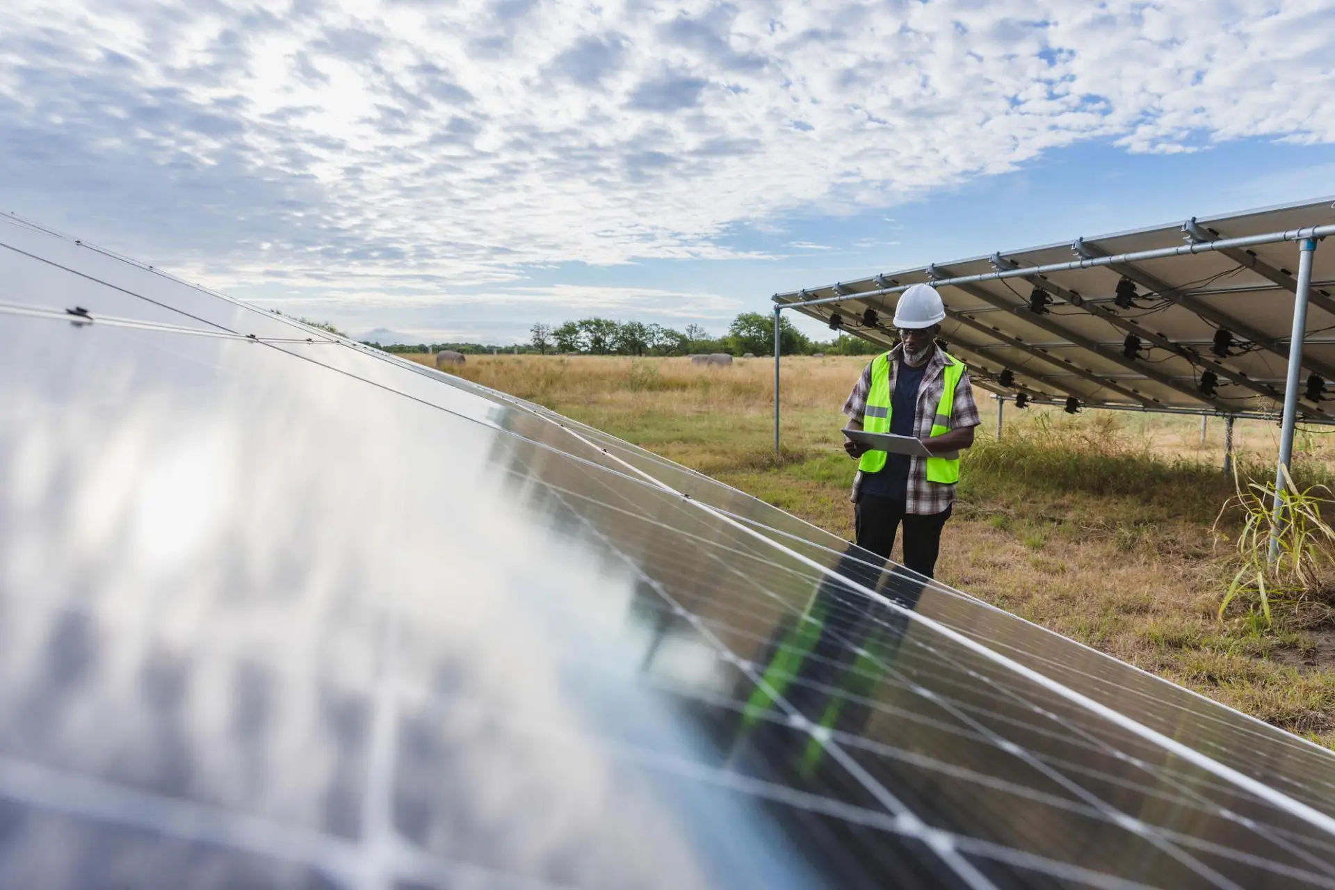 Green Energy Solutions Hammer Group